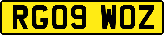 RG09WOZ
