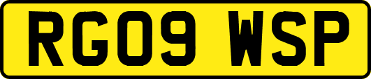 RG09WSP