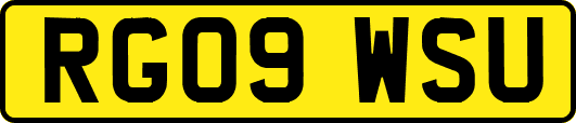 RG09WSU