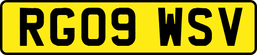 RG09WSV