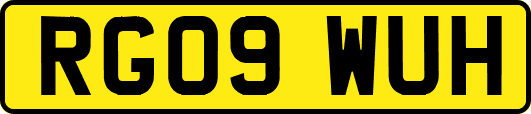 RG09WUH