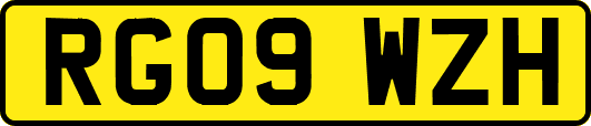 RG09WZH