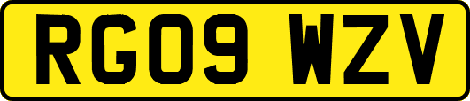 RG09WZV