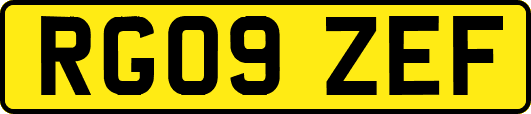 RG09ZEF