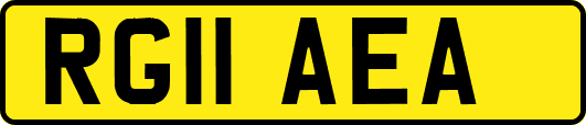 RG11AEA