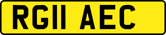 RG11AEC