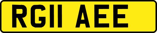 RG11AEE