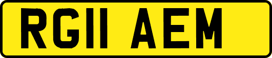 RG11AEM