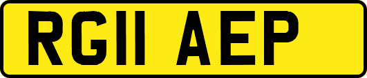 RG11AEP