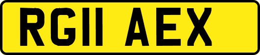 RG11AEX