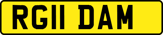 RG11DAM