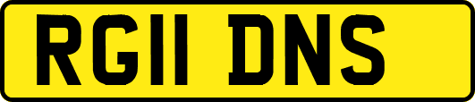 RG11DNS