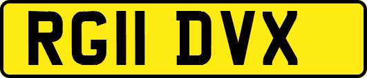 RG11DVX