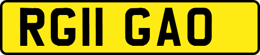 RG11GAO