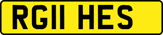 RG11HES