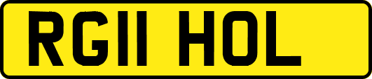 RG11HOL