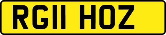 RG11HOZ
