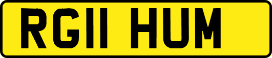 RG11HUM