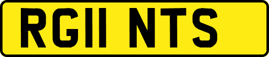 RG11NTS