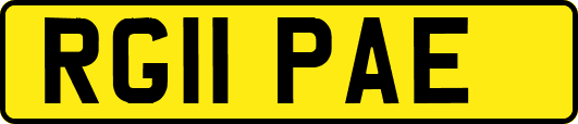 RG11PAE
