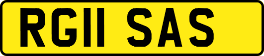 RG11SAS