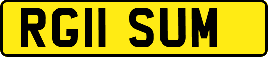 RG11SUM