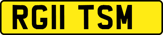 RG11TSM
