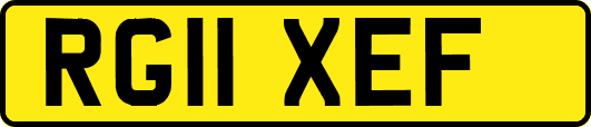 RG11XEF