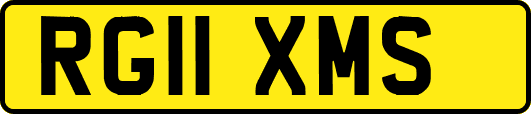 RG11XMS