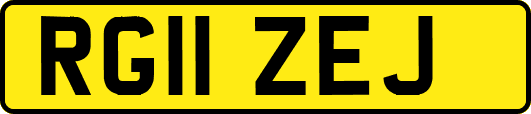 RG11ZEJ