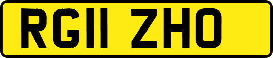 RG11ZHO