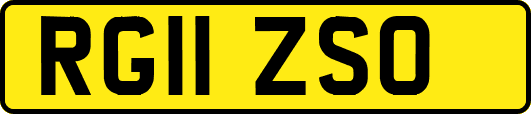 RG11ZSO