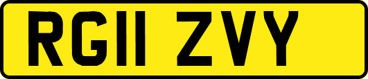 RG11ZVY