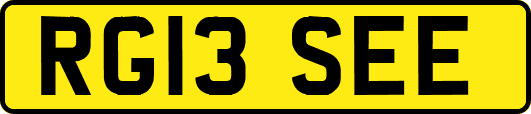 RG13SEE