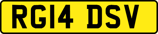 RG14DSV