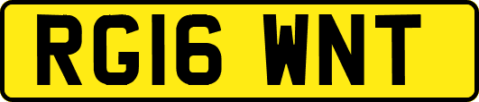 RG16WNT