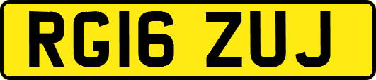 RG16ZUJ