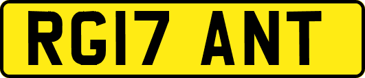 RG17ANT