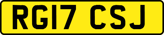 RG17CSJ