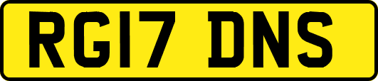RG17DNS