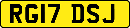 RG17DSJ