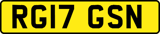 RG17GSN