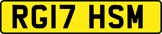 RG17HSM