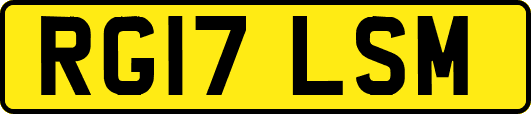 RG17LSM
