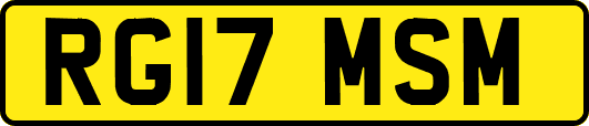RG17MSM