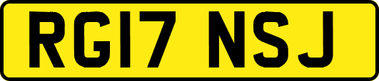 RG17NSJ