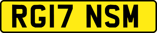 RG17NSM
