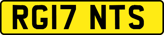RG17NTS