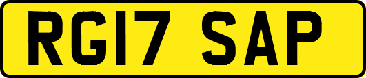 RG17SAP