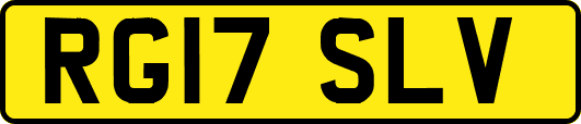 RG17SLV